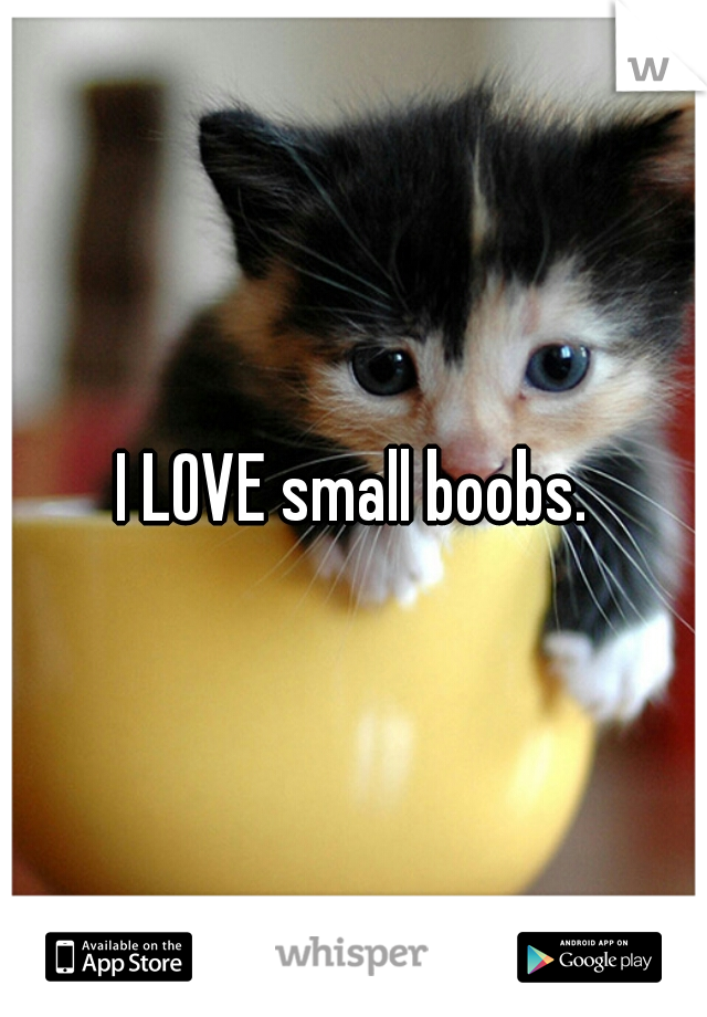 I LOVE small boobs.