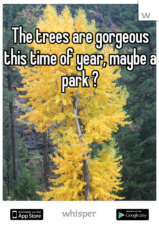 The trees are gorgeous this time of year, maybe a park ?