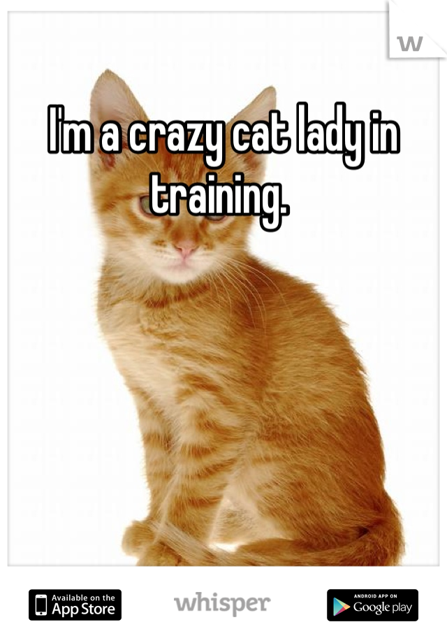 I'm a crazy cat lady in training. 
