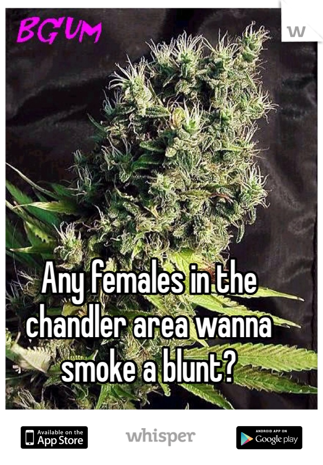 Any females in the chandler area wanna smoke a blunt?