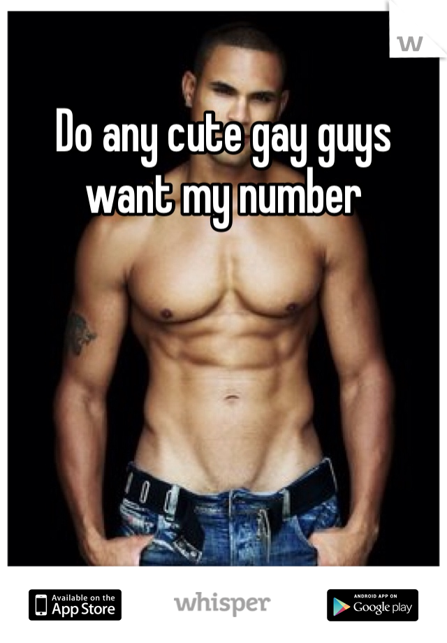 Do any cute gay guys want my number 