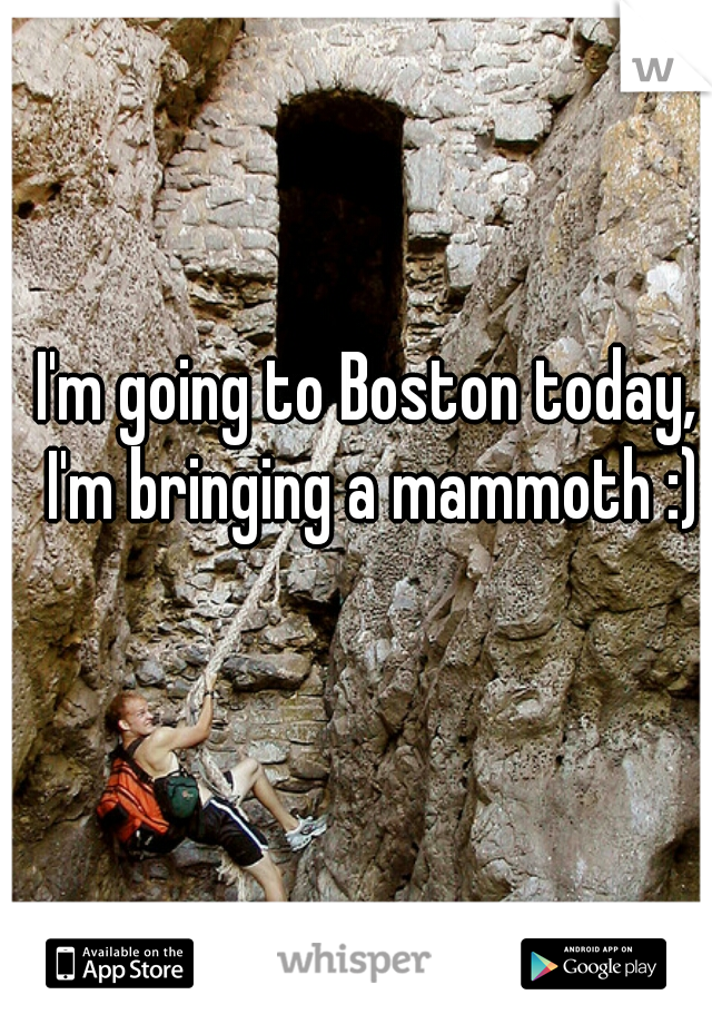 I'm going to Boston today, I'm bringing a mammoth :)