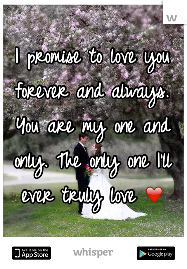 I promise to love you forever and always. You are my one and only. The only one I'll ever truly love ❤️