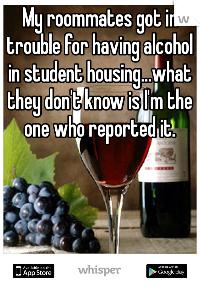 My roommates got in trouble for having alcohol in student housing...what they don't know is I'm the one who reported it.