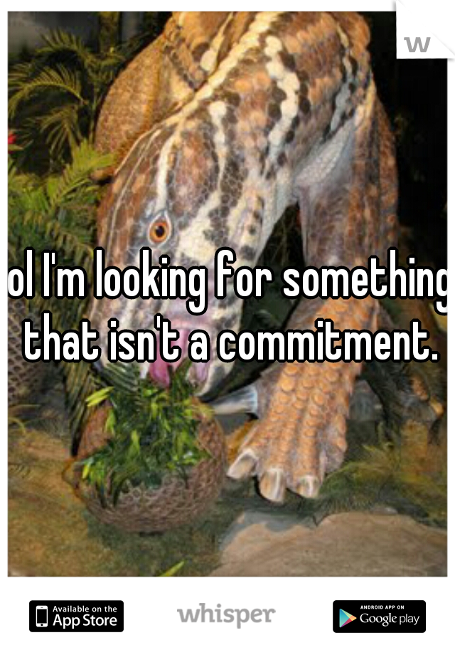 lol I'm looking for something that isn't a commitment.