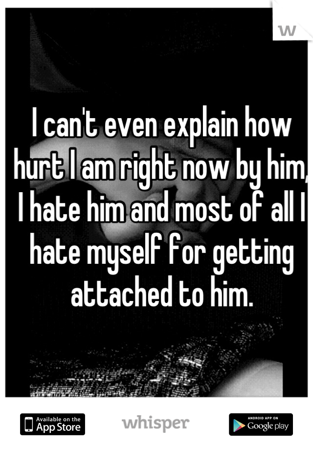 I can't even explain how hurt I am right now by him, I hate him and most of all I hate myself for getting attached to him.