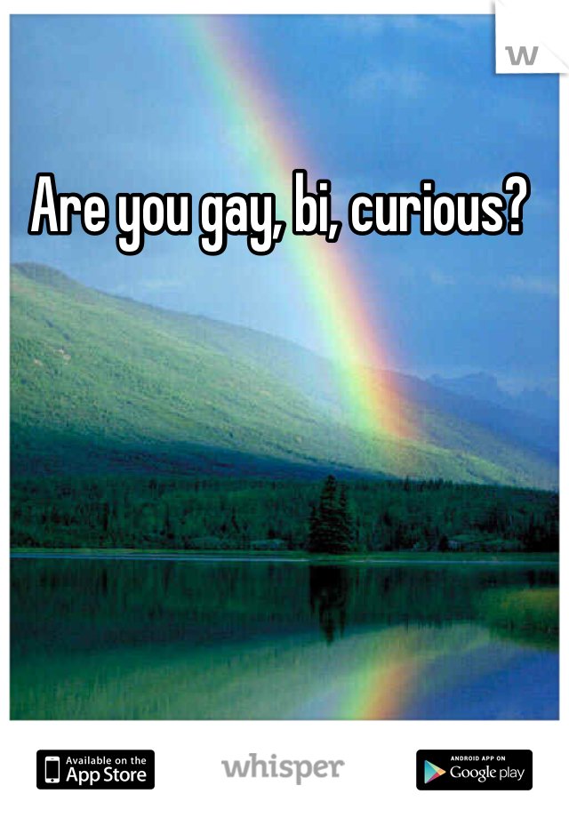 Are you gay, bi, curious? 
