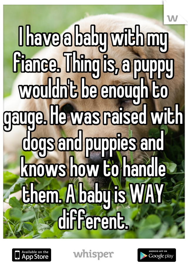 I have a baby with my fiance. Thing is, a puppy wouldn't be enough to gauge. He was raised with dogs and puppies and knows how to handle them. A baby is WAY different.