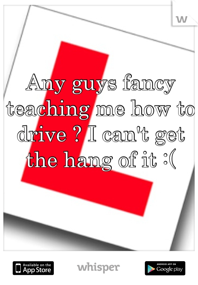 Any guys fancy teaching me how to drive ? I can't get the hang of it :(