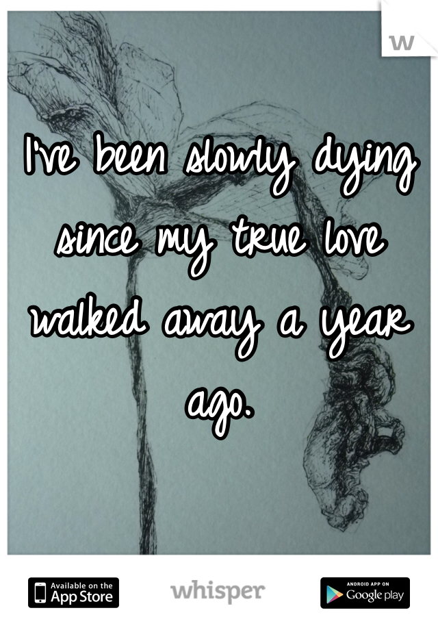 I've been slowly dying since my true love walked away a year ago.