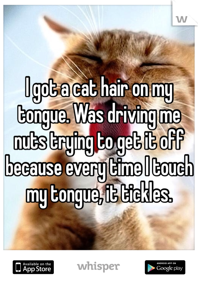 I got a cat hair on my tongue. Was driving me nuts trying to get it off because every time I touch my tongue, it tickles. 