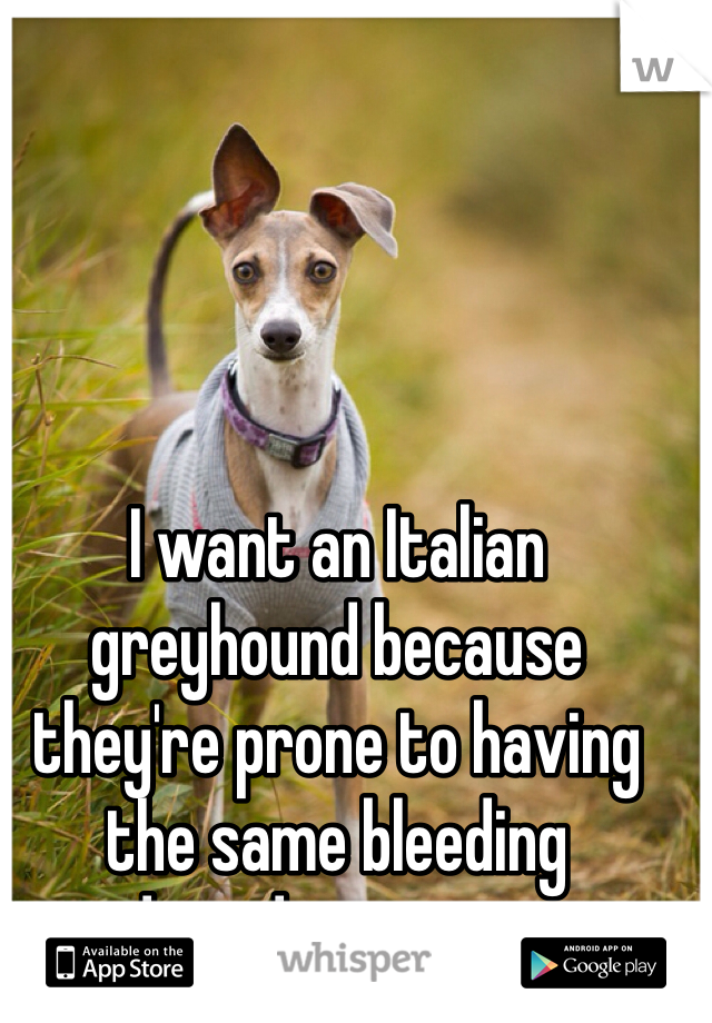 I want an Italian greyhound because they're prone to having the same bleeding disorder as me...