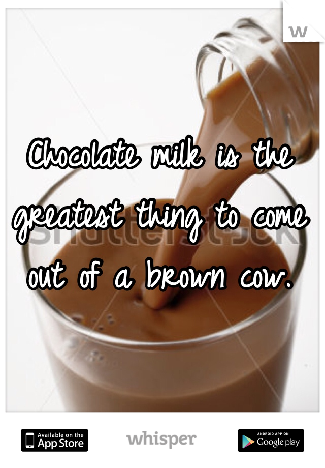 Chocolate milk is the greatest thing to come out of a brown cow. 