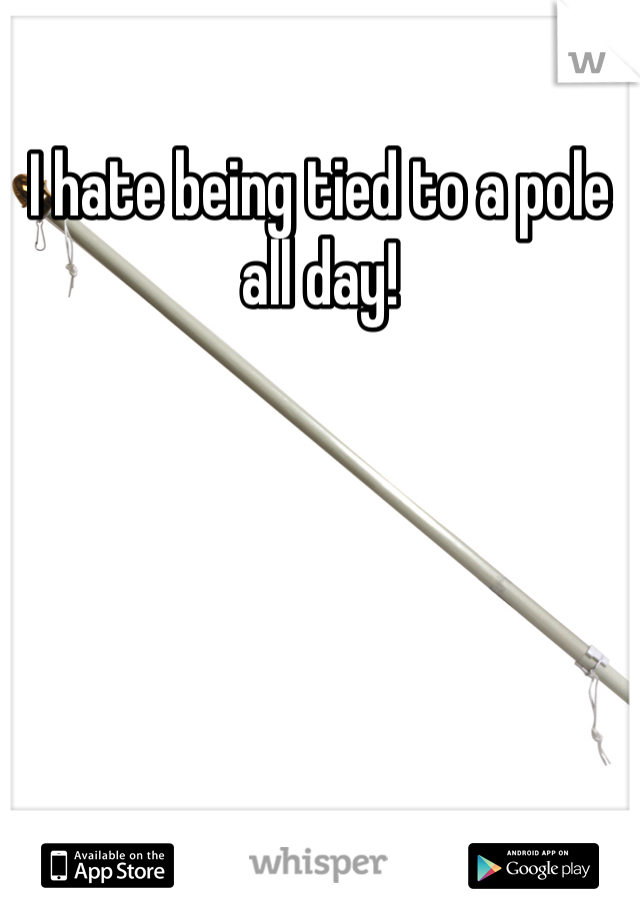 I hate being tied to a pole all day!