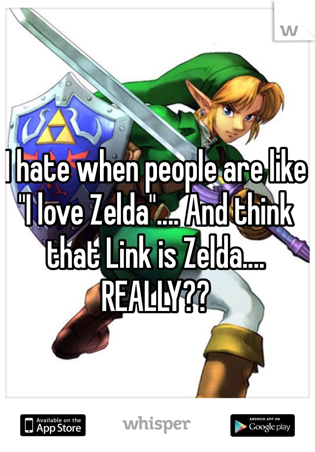 I hate when people are like "I love Zelda".... And think that Link is Zelda.... REALLY??
