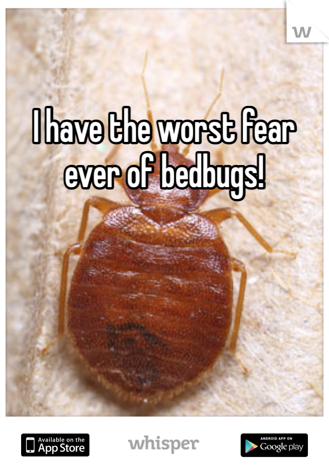 I have the worst fear ever of bedbugs!