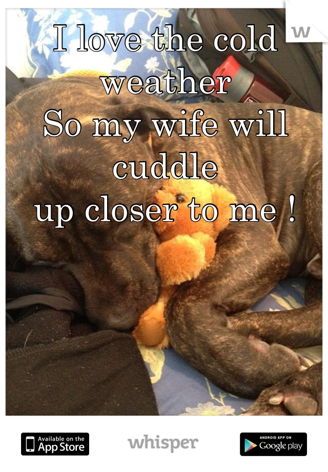 I love the cold weather 
So my wife will cuddle 
up closer to me !