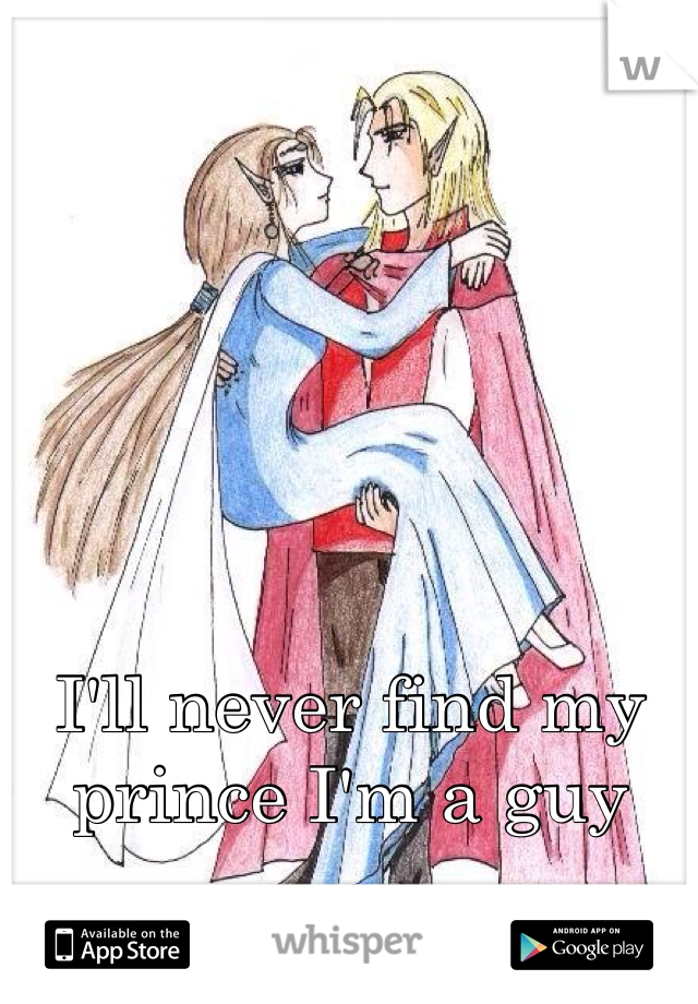 I'll never find my prince I'm a guy