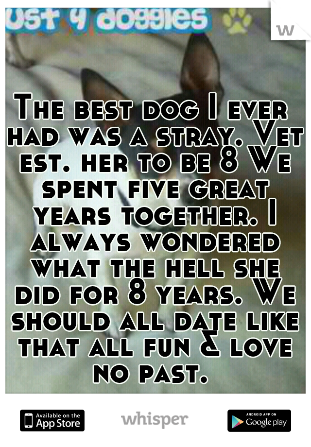 The best dog I ever had was a stray. Vet est. her to be 8 We spent five great years together. I always wondered what the hell she did for 8 years. We should all date like that all fun & love no past. 
