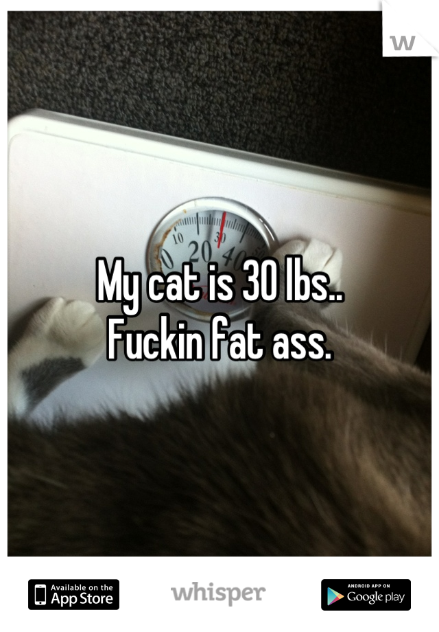 My cat is 30 lbs..
Fuckin fat ass.