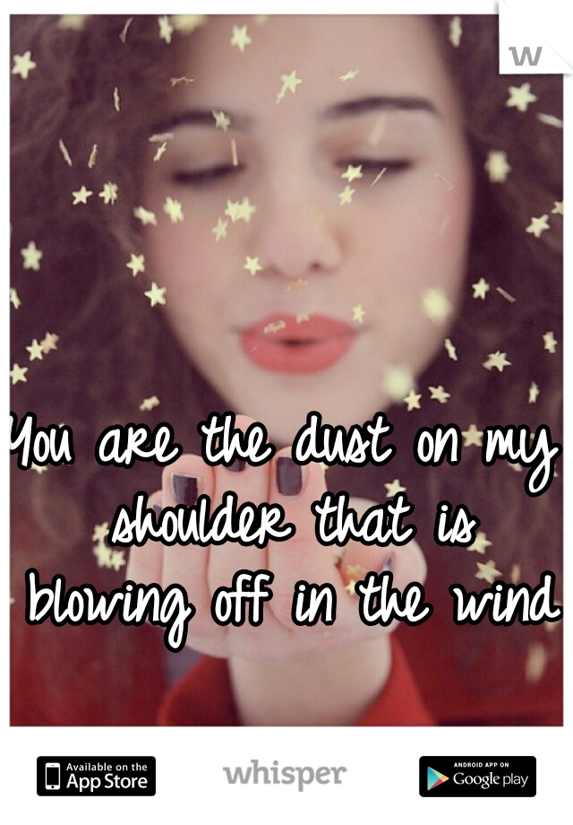 You are the dust on my shoulder that is blowing off in the wind