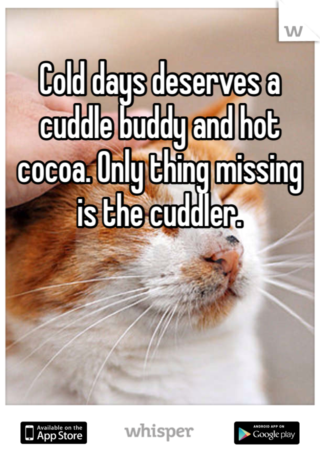 Cold days deserves a cuddle buddy and hot cocoa. Only thing missing is the cuddler. 