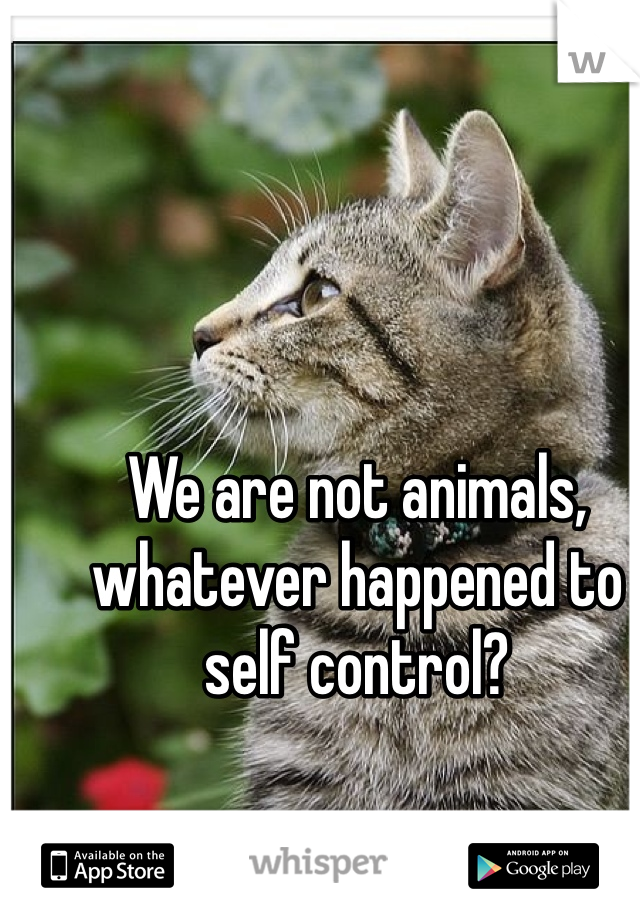 We are not animals, whatever happened to self control?