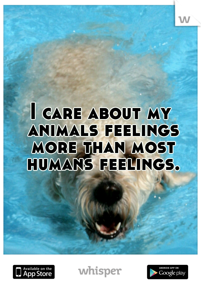 I care about my animals feelings more than most humans feelings.