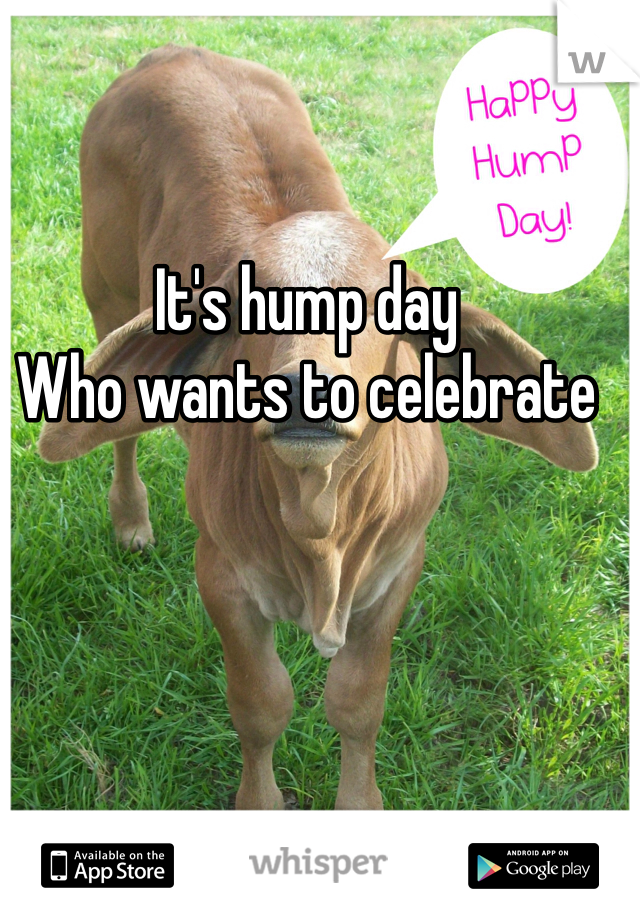 It's hump day
Who wants to celebrate 
