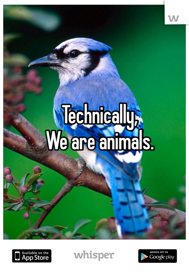 Technically,
We are animals.
