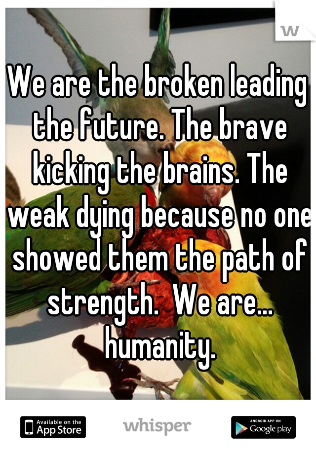We are the broken leading the future. The brave kicking the brains. The weak dying because no one showed them the path of strength.  We are... humanity.