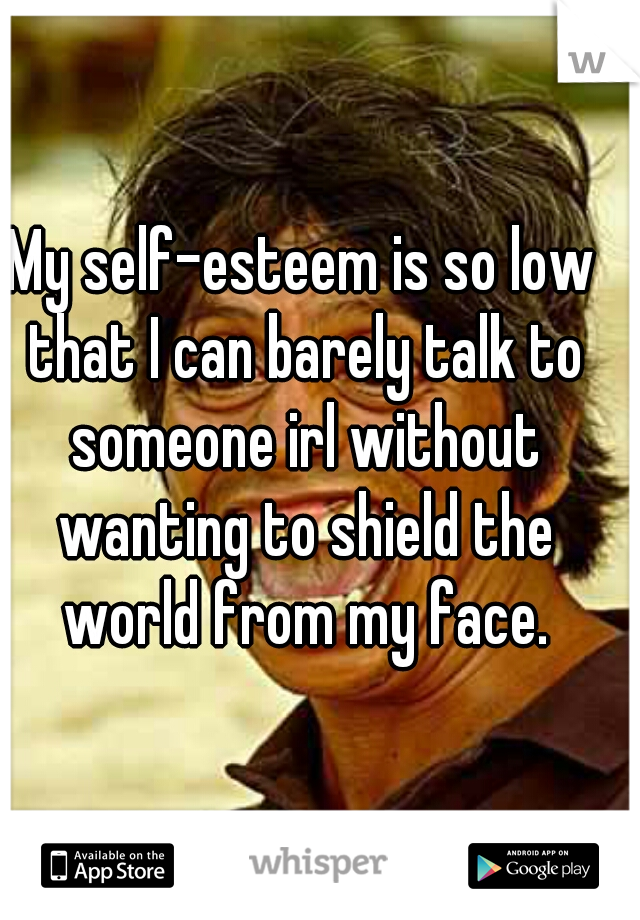 My self-esteem is so low that I can barely talk to someone irl without wanting to shield the world from my face.