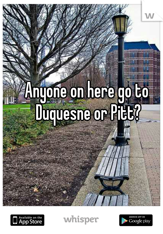 Anyone on here go to Duquesne or Pitt?