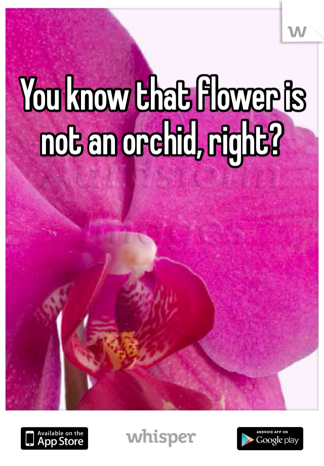 You know that flower is not an orchid, right? 