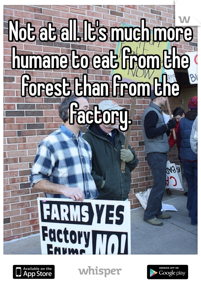 Not at all. It's much more humane to eat from the forest than from the factory. 