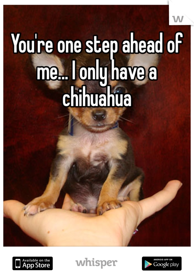 You're one step ahead of me... I only have a chihuahua 