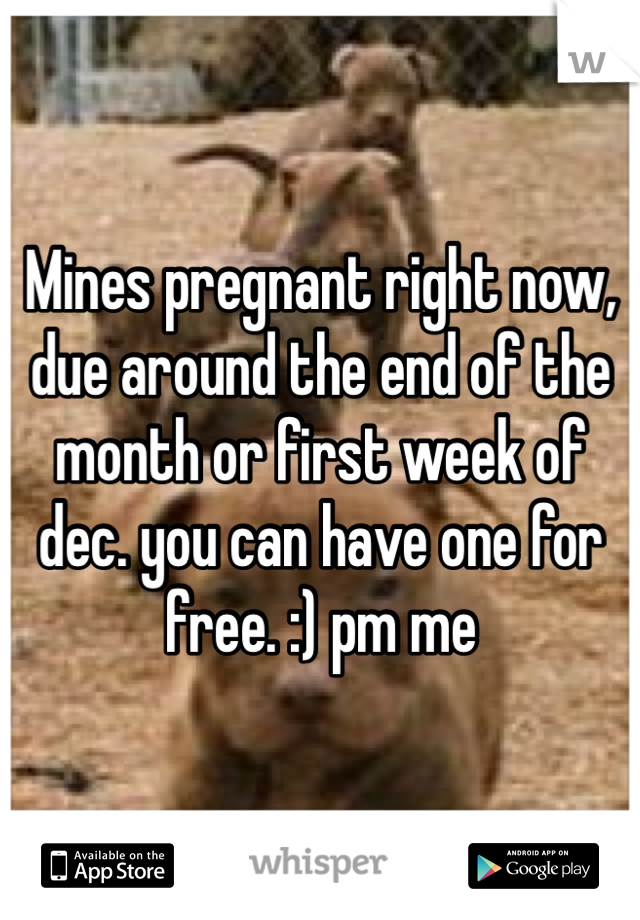 Mines pregnant right now, due around the end of the month or first week of dec. you can have one for free. :) pm me