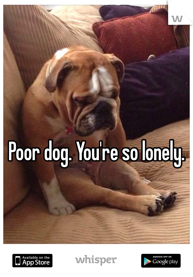 Poor dog. You're so lonely.