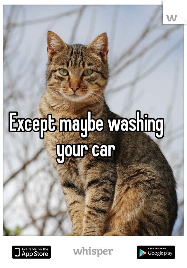 Except maybe washing your car