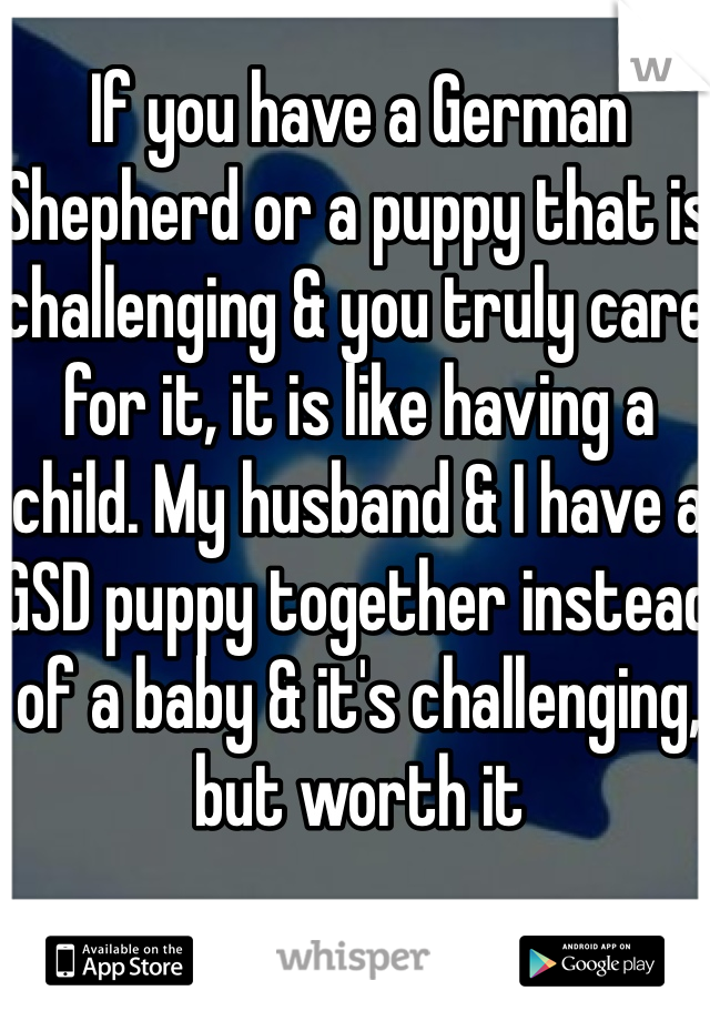 If you have a German Shepherd or a puppy that is challenging & you truly care for it, it is like having a child. My husband & I have a GSD puppy together instead of a baby & it's challenging, but worth it