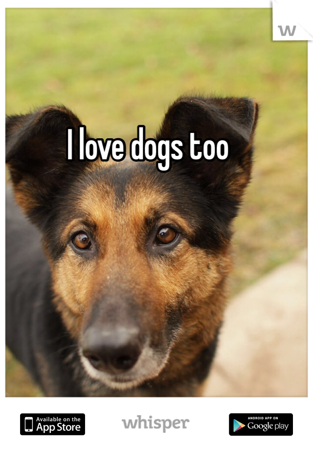 I love dogs too 