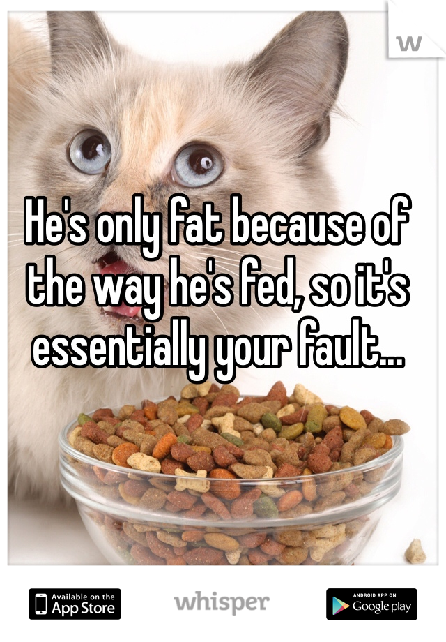 He's only fat because of the way he's fed, so it's essentially your fault...