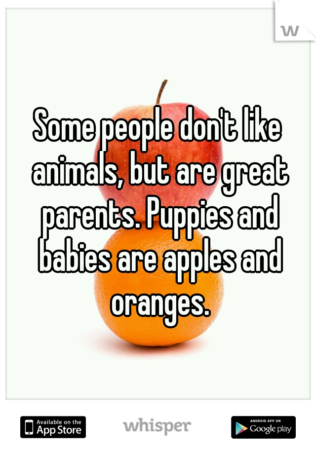 Some people don't like animals, but are great parents. Puppies and babies are apples and oranges.