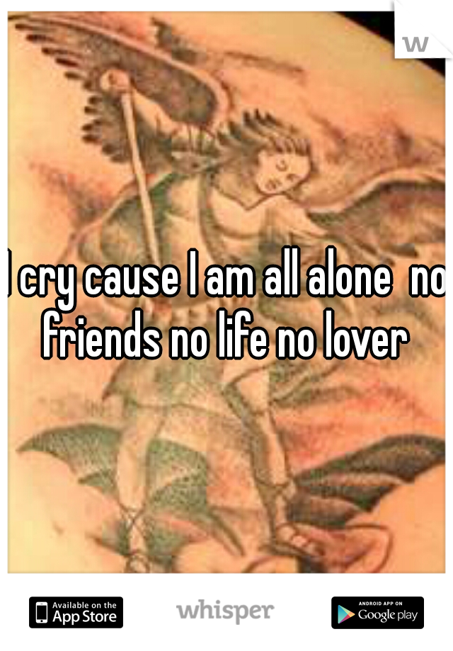I cry cause I am all alone  no friends no life no lover 
