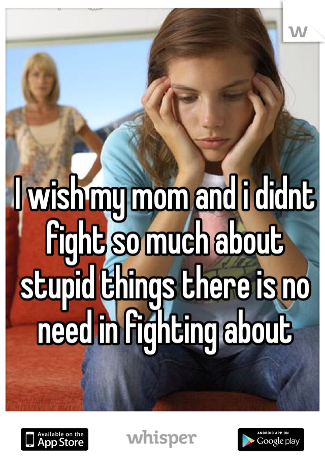 I wish my mom and i didnt fight so much about stupid things there is no need in fighting about
