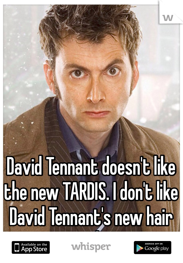David Tennant doesn't like the new TARDIS. I don't like David Tennant's new hair style.