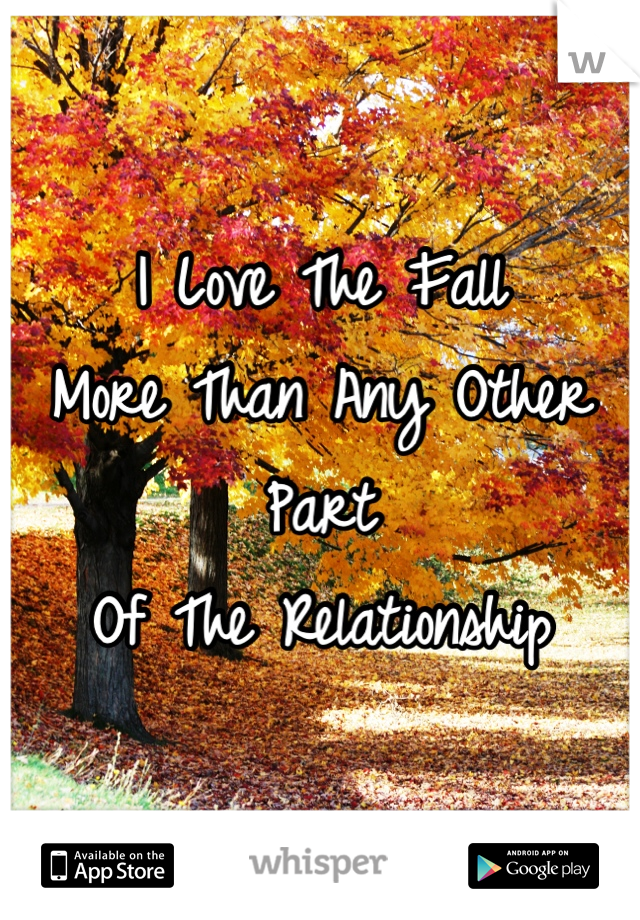 I Love The Fall 
More Than Any Other Part
Of The Relationship