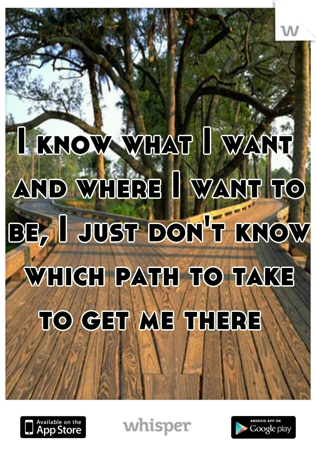 I know what I want and where I want to be, I just don't know which path to take to get me there  