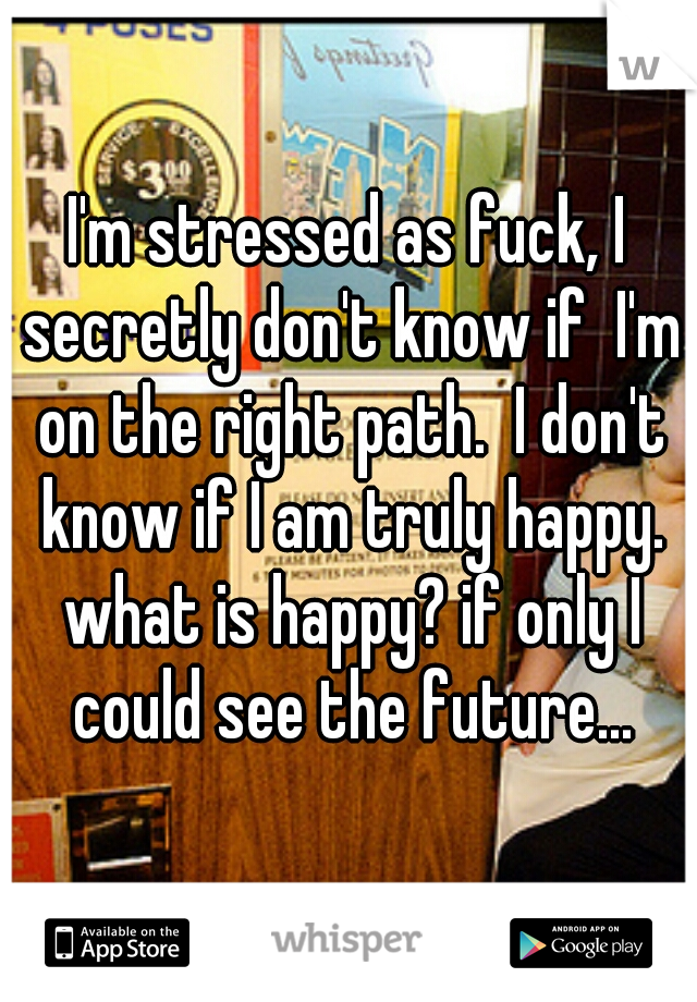 I'm stressed as fuck, I secretly don't know if  I'm on the right path.  I don't know if I am truly happy. what is happy? if only I could see the future...