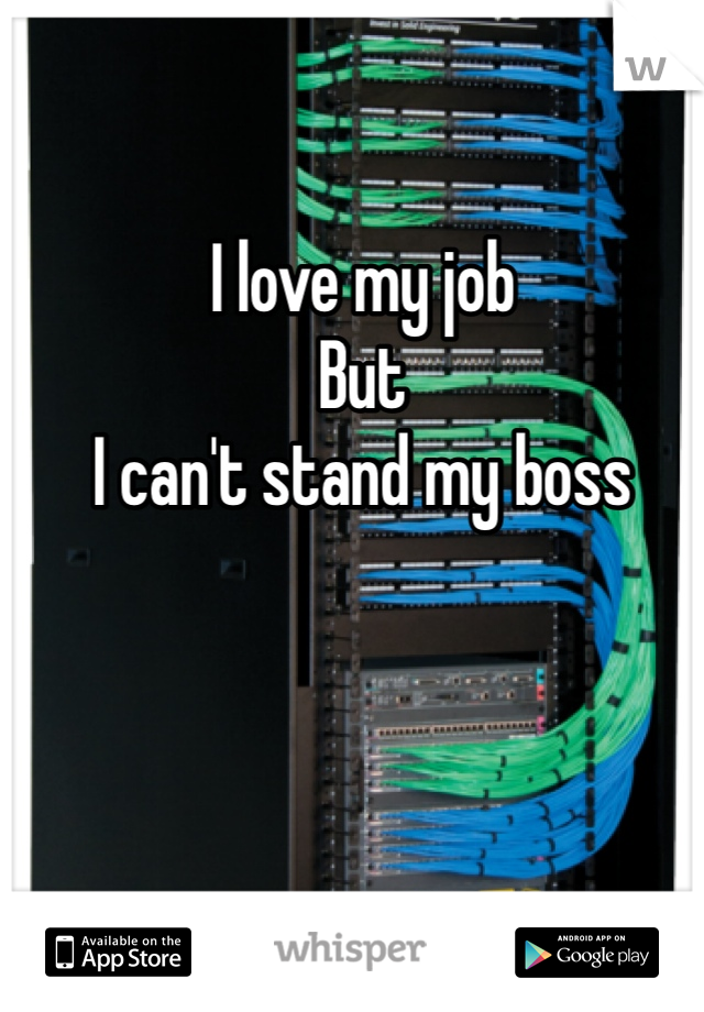 I love my job 
But 
I can't stand my boss